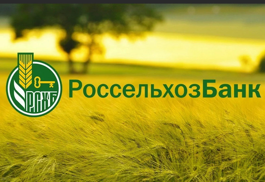 С начала 2020 года Россельхозбанк предоставил архангельским бизнесменам более 817 млн рублей